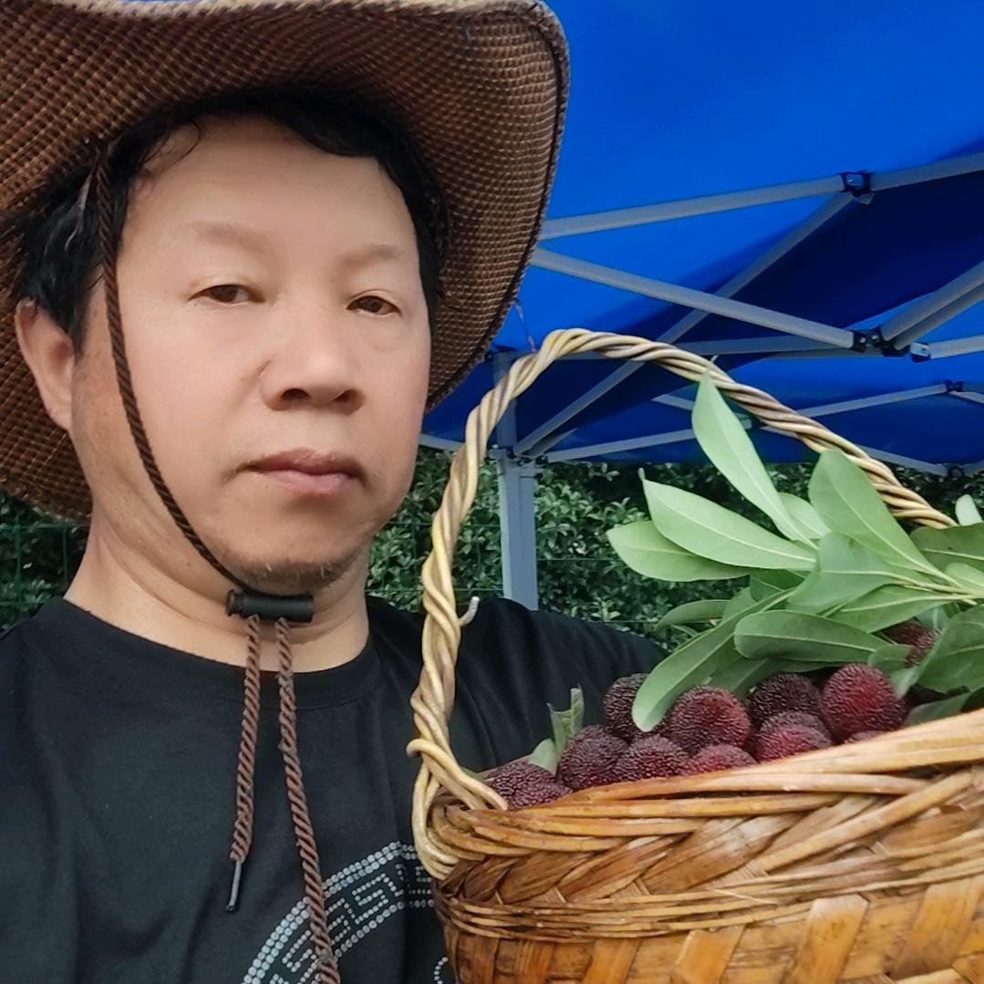 马涧杨梅（鲍鞋匠）