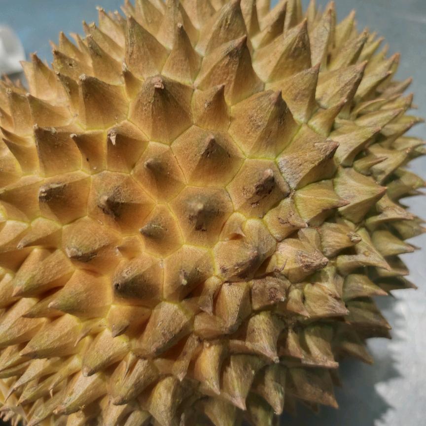 永远