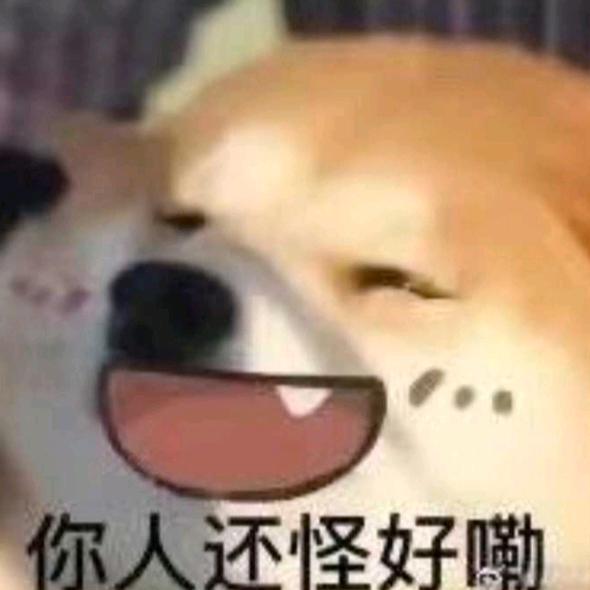 寒羽