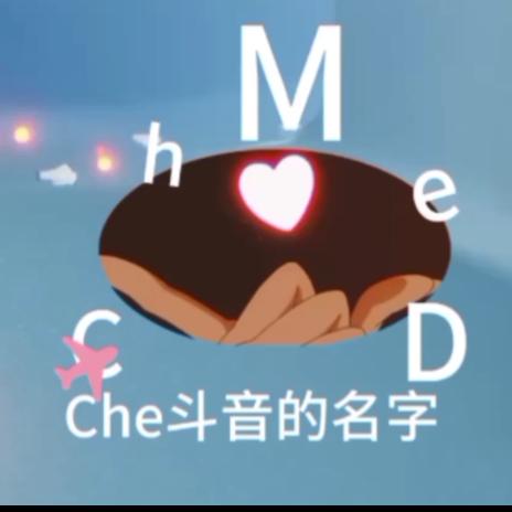 Che斗音的名字