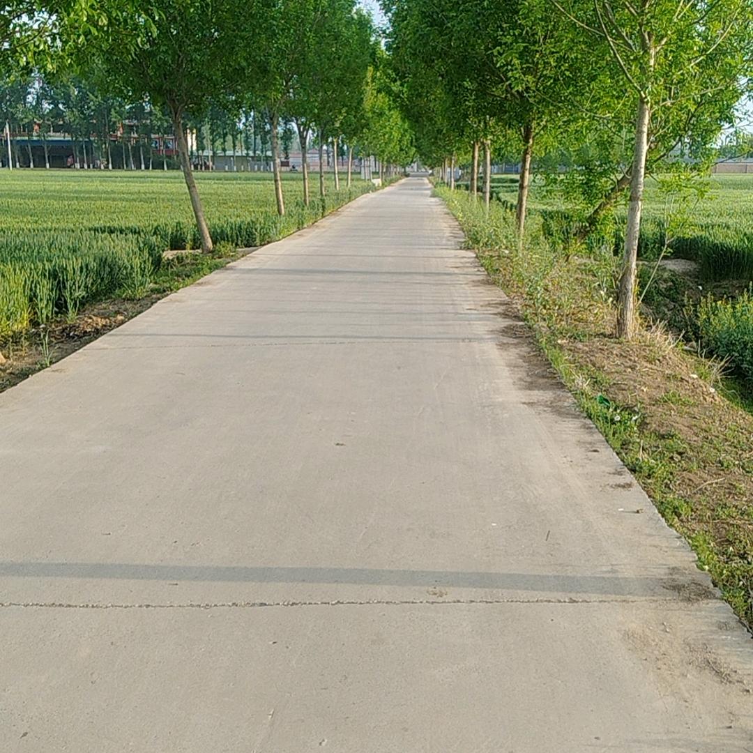 四季安然