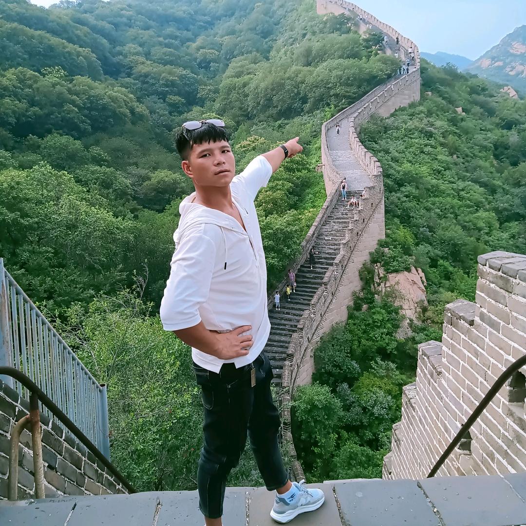 楊锅锅