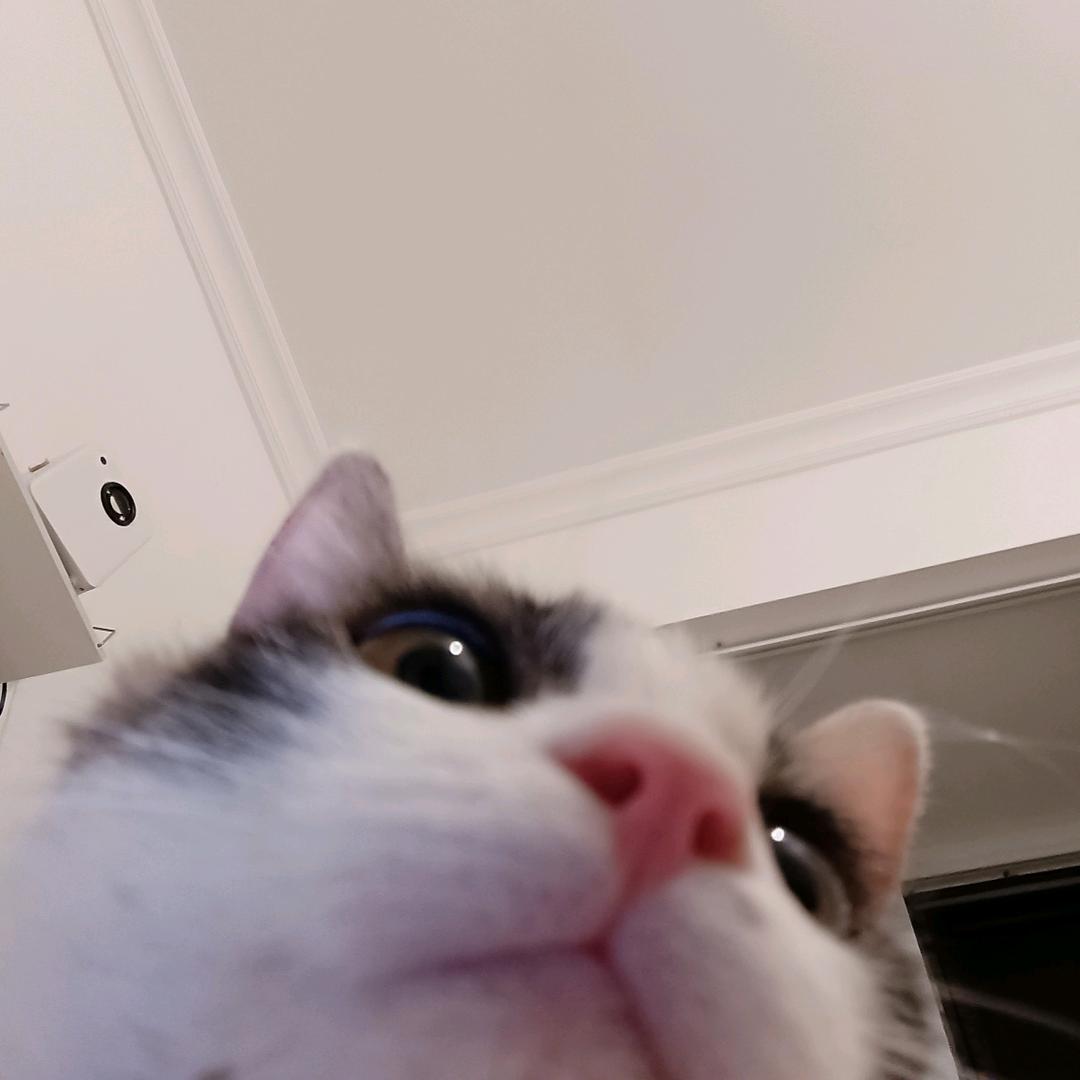我丢。。。
