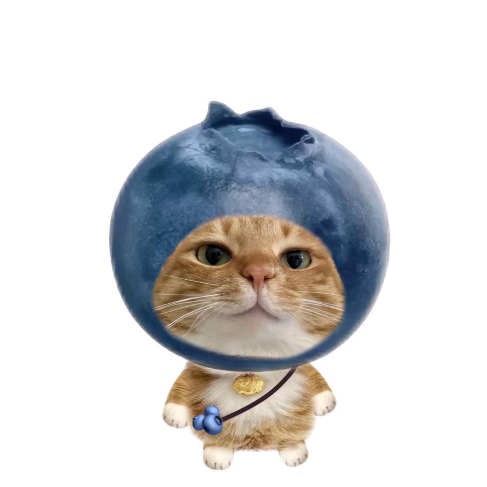 小L-爱祎（已开学）