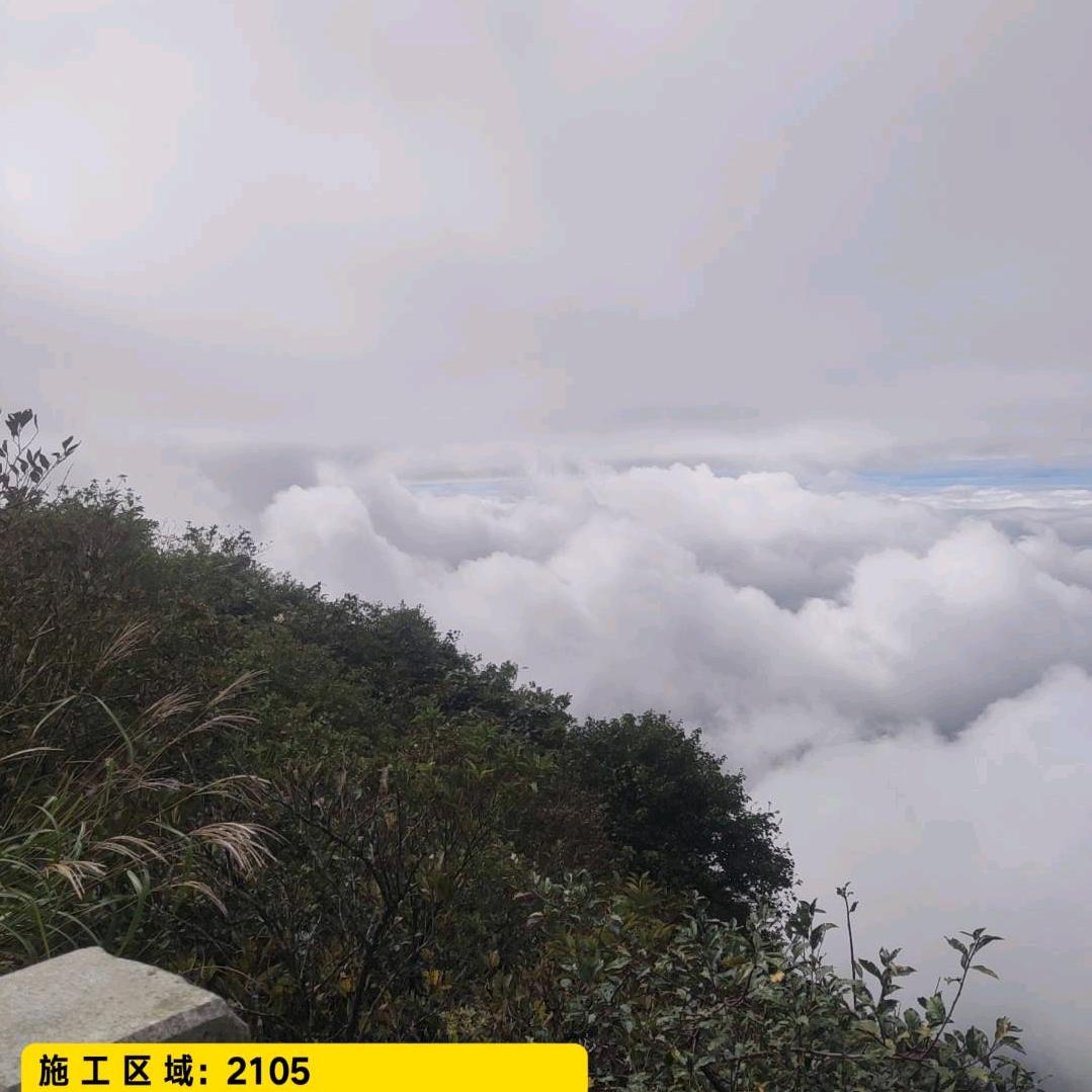 马到陈功