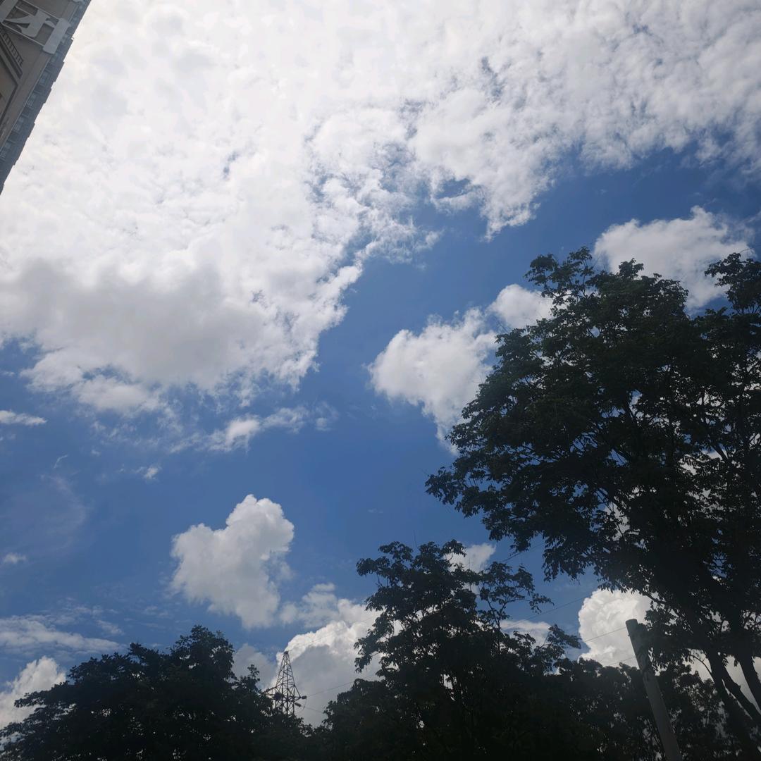 小石榴（三角洲）