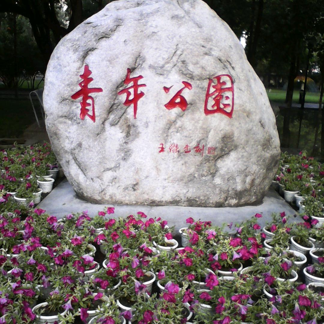 爱的不要的