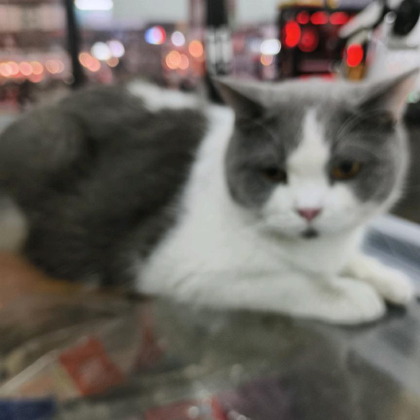 与海携手，与景同祝