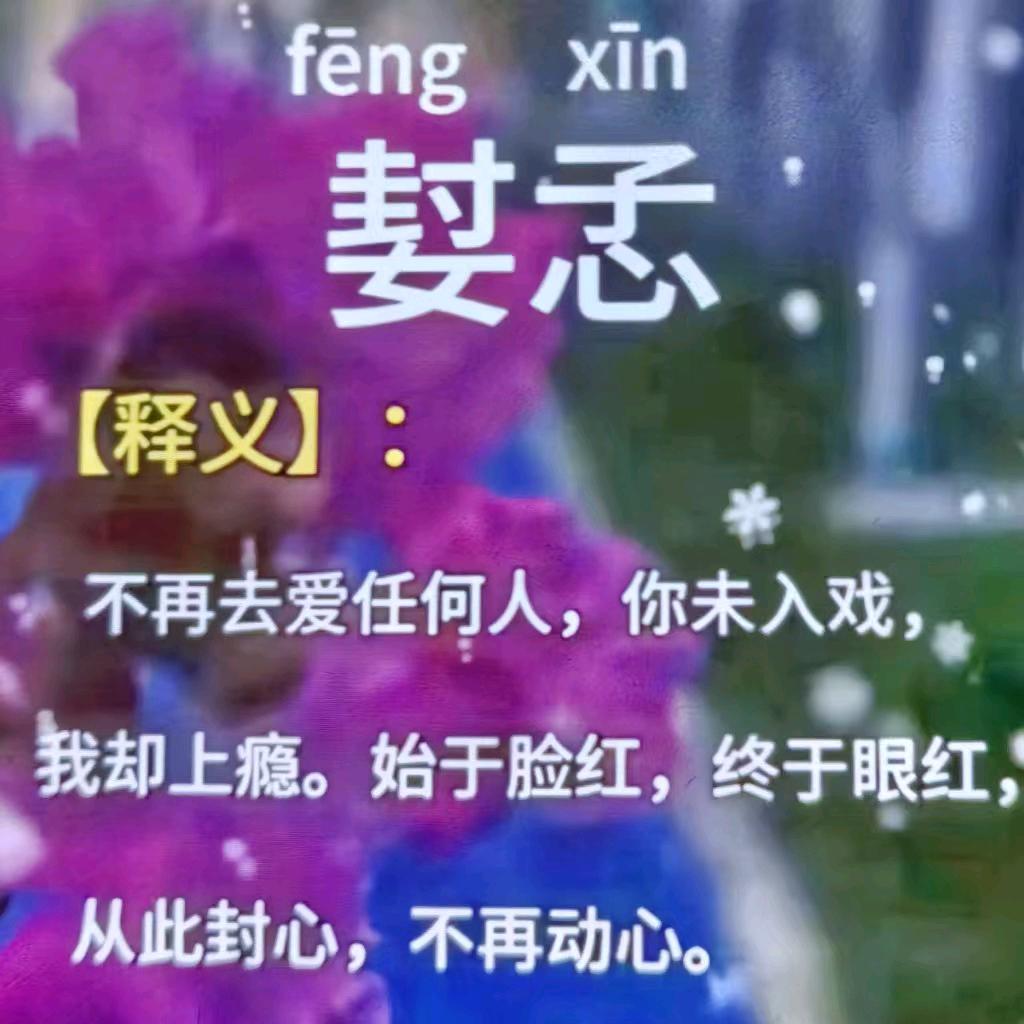 💐不懂珍惜就不配拥有💐