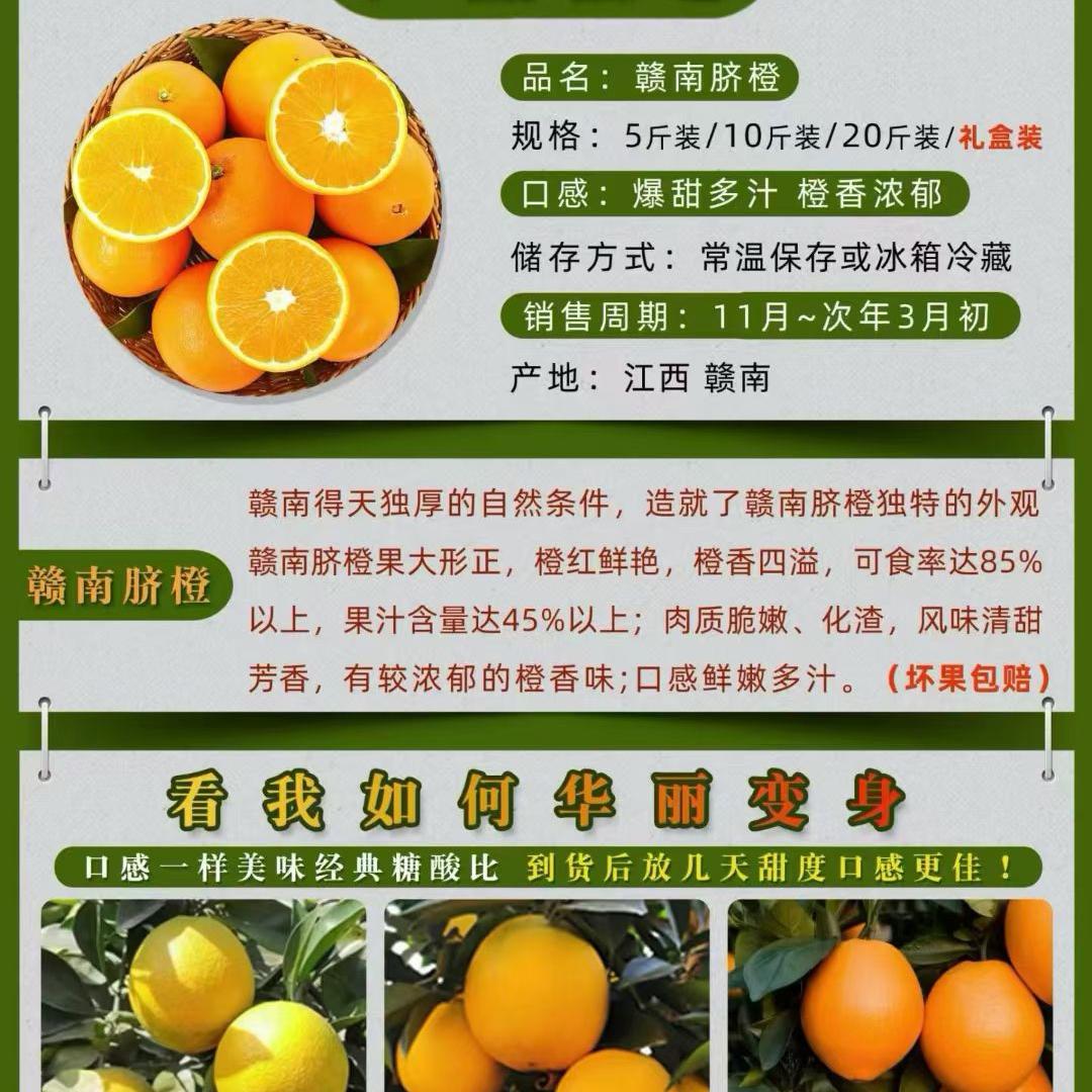 佳罗娜原浆精酿