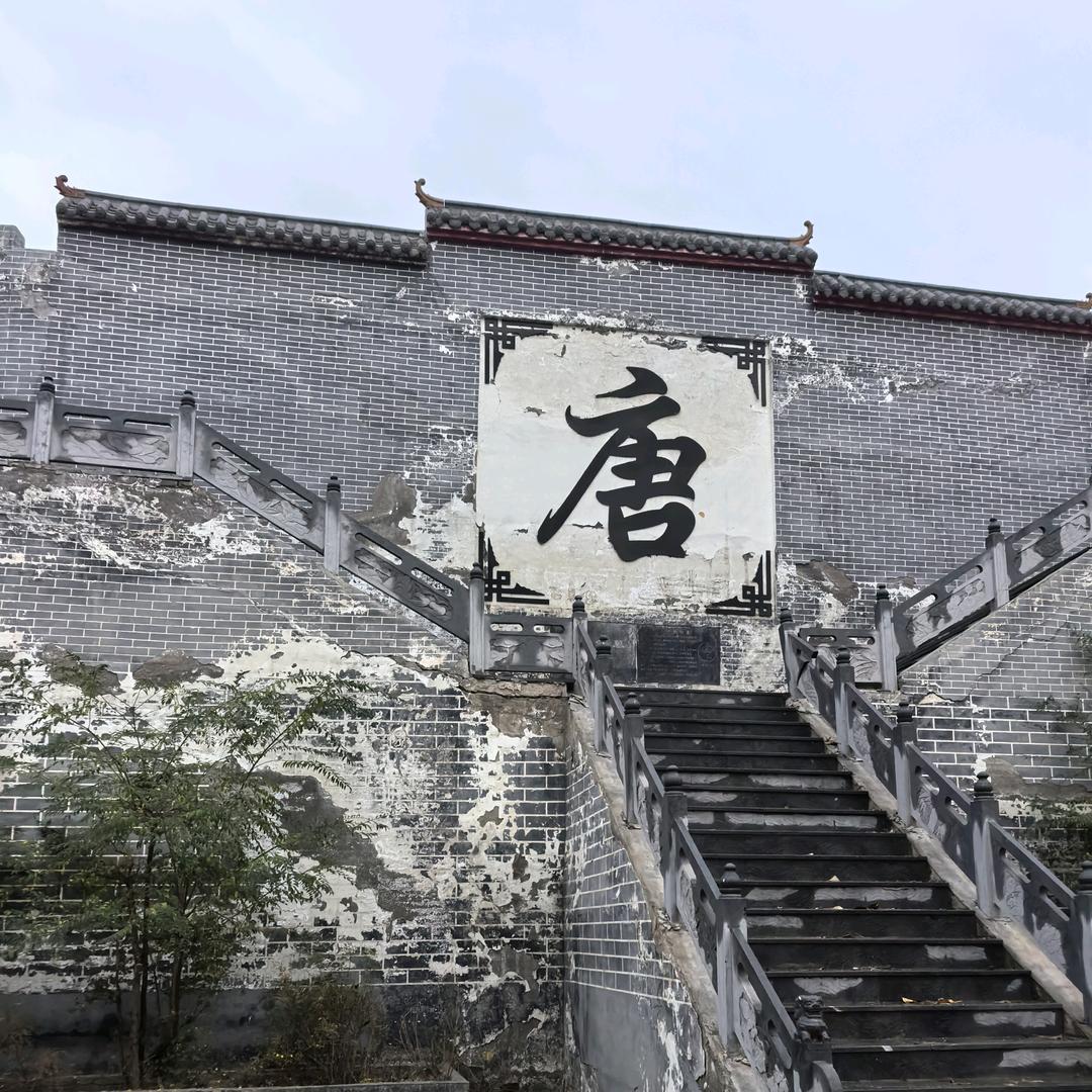 河南大唐的小唐