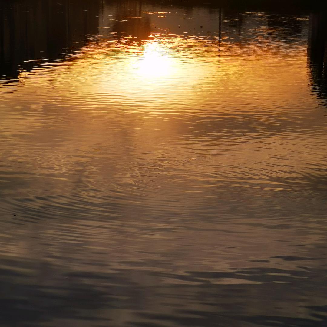 风生🌅💫水起