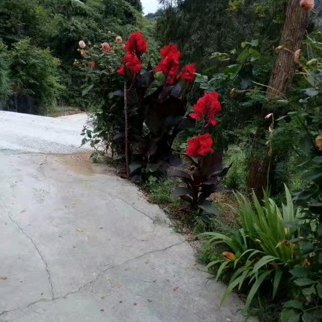 不怕人累，只怕心累，