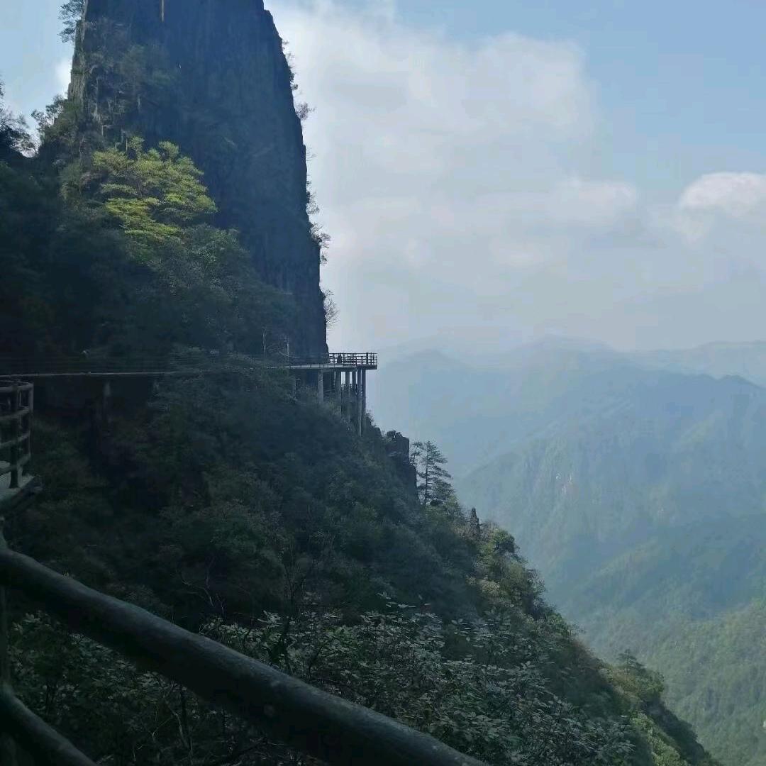 岁月人生