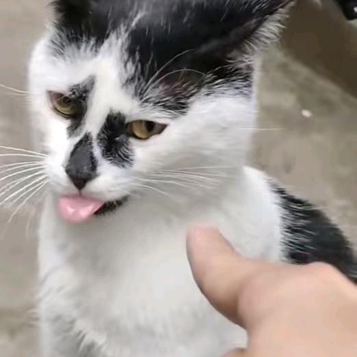 要开心哦