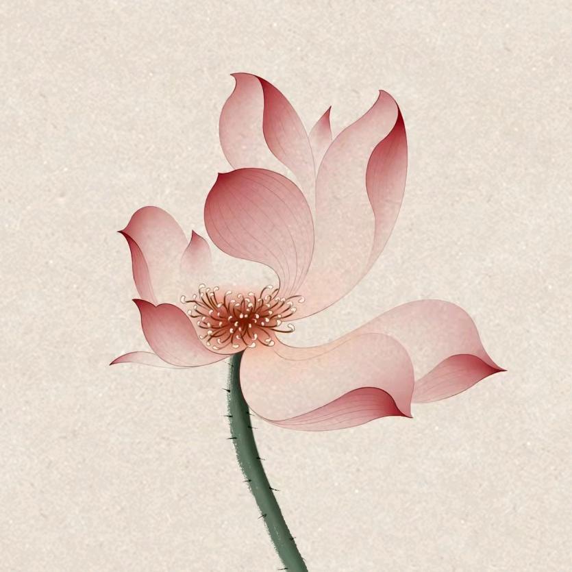 泉城优选