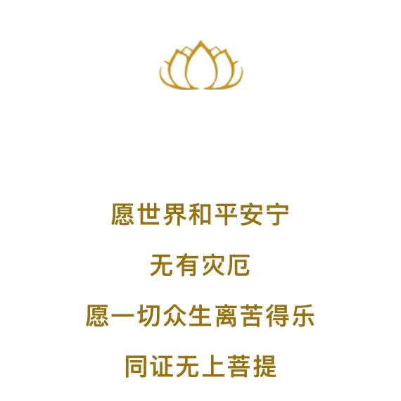 虔敬，晓智，头像