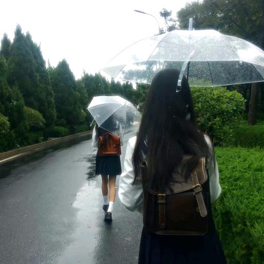 奶茶宝宝