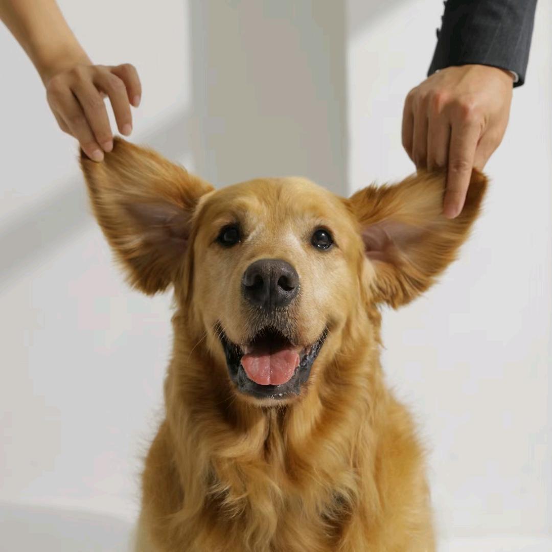 总要开心一辈子的吧！