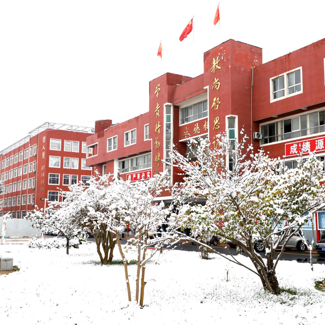 武训中学中考咨询