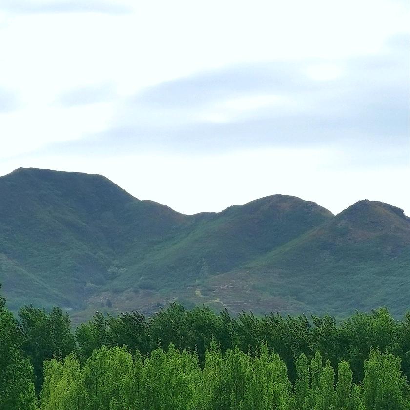 再见黄河搂