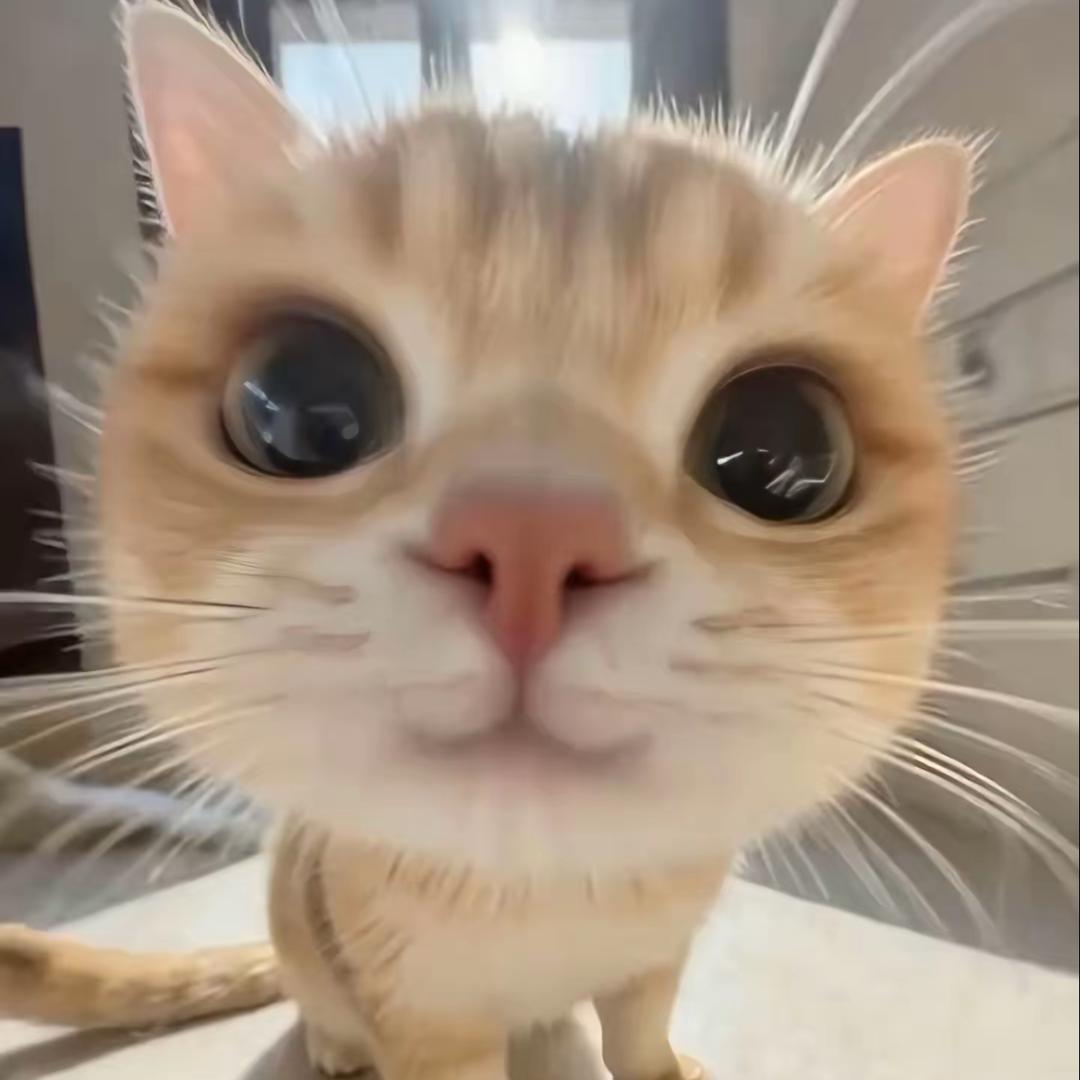 一三七
