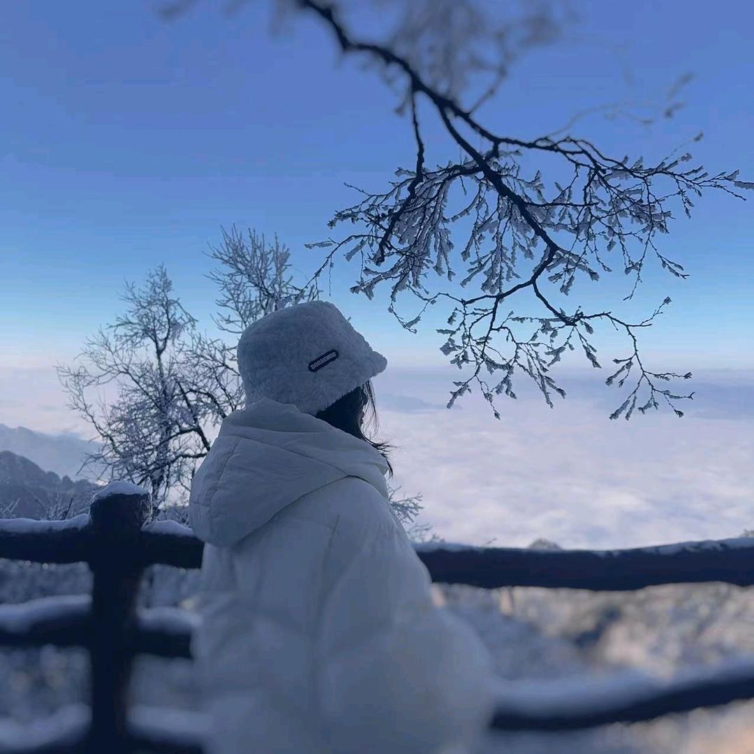 @我是圣楠👸