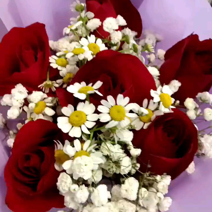 难忘的2018年11月初3