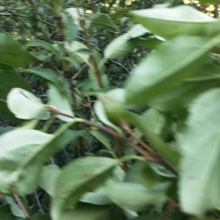 我是你通讯录里的好友