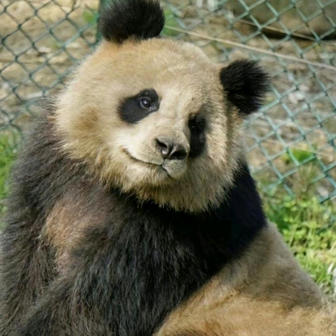 小千