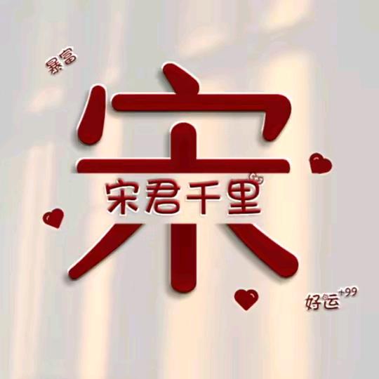 老茶听风