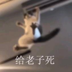 咸鱼隐