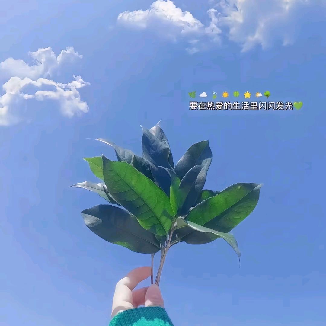 米花