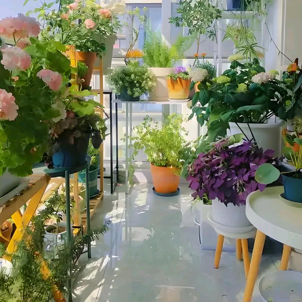 你的菓菓