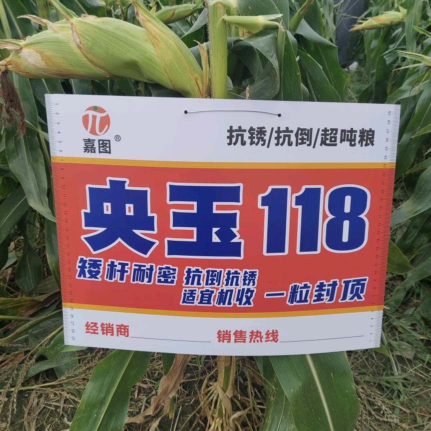 张学夫