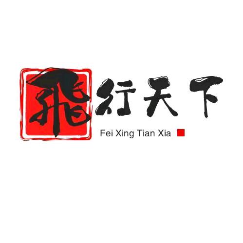 @飛行天下