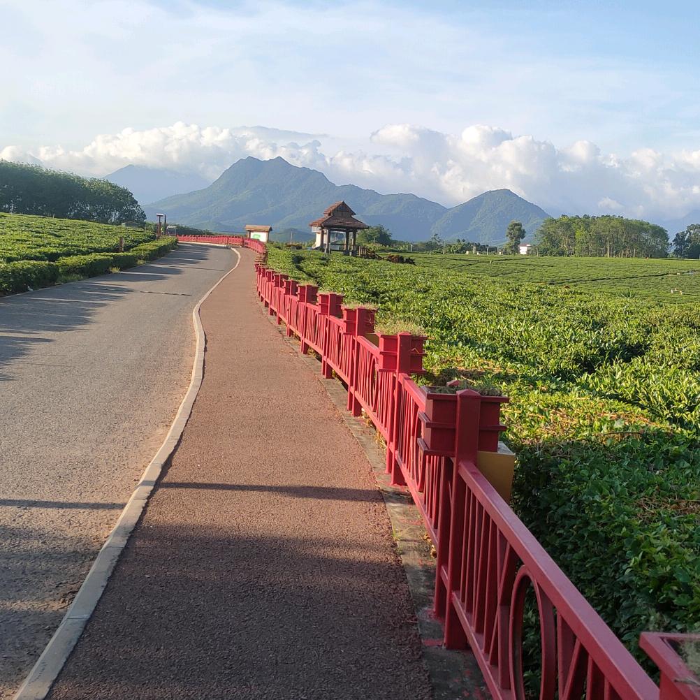 小心心