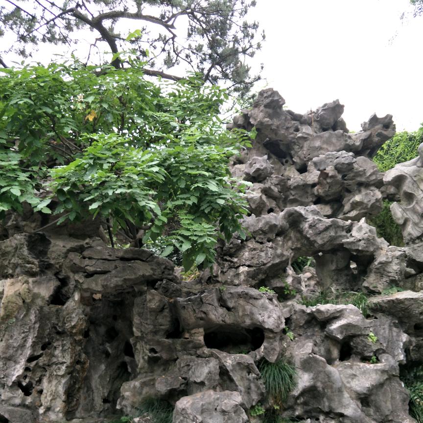 ☜财哥☞