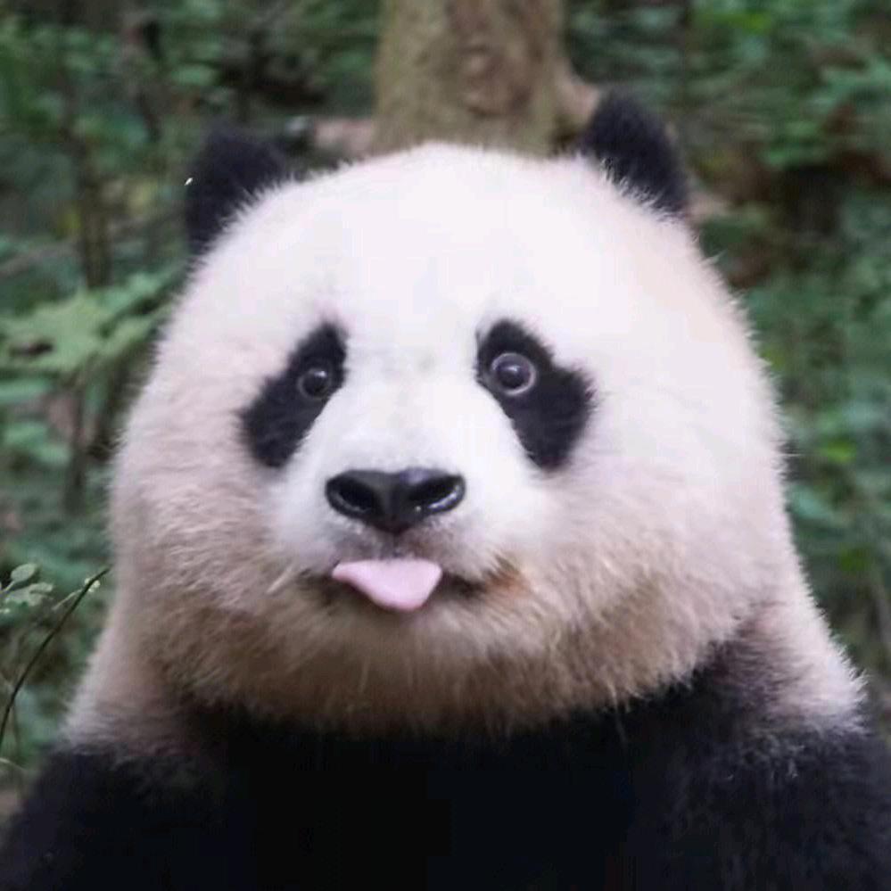 周大人