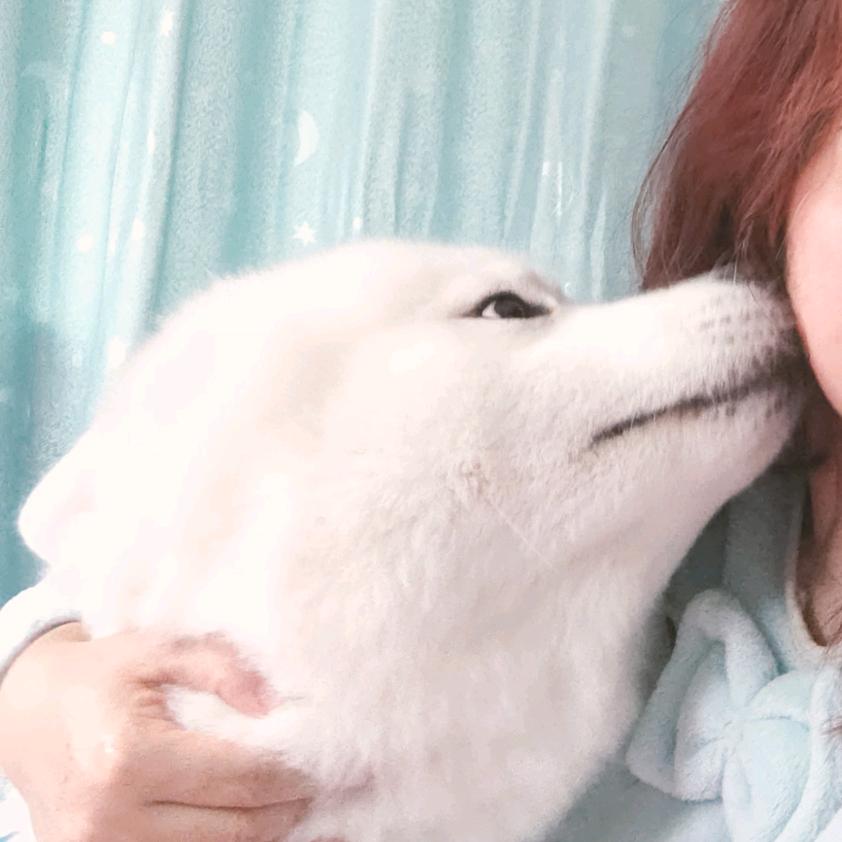 专业干依依妹