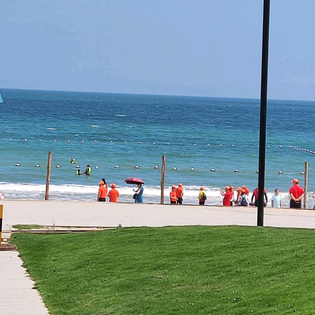 《忘了时间的钟》