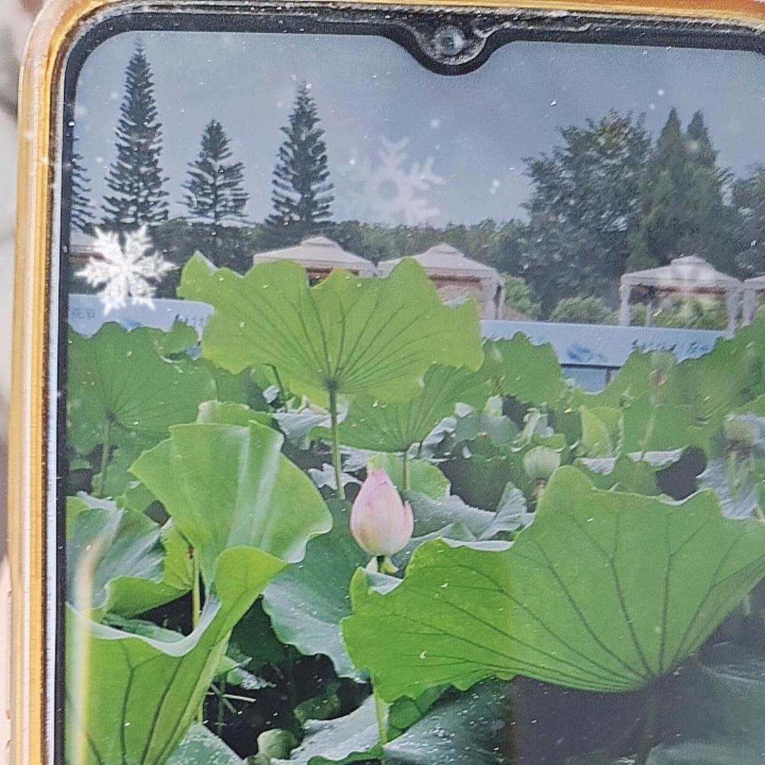 轻风细雨