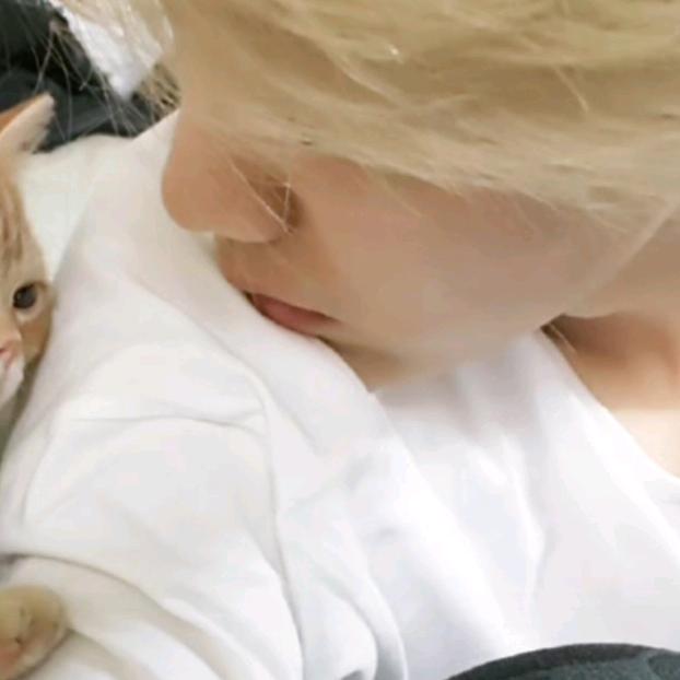 奥尼地瓜（鹿晗三巡➕四巡版）