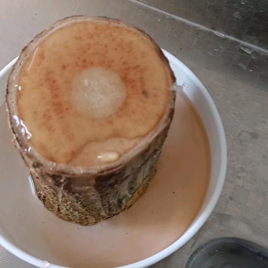 今天