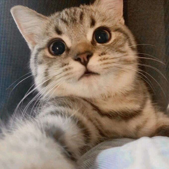 1️⃣.