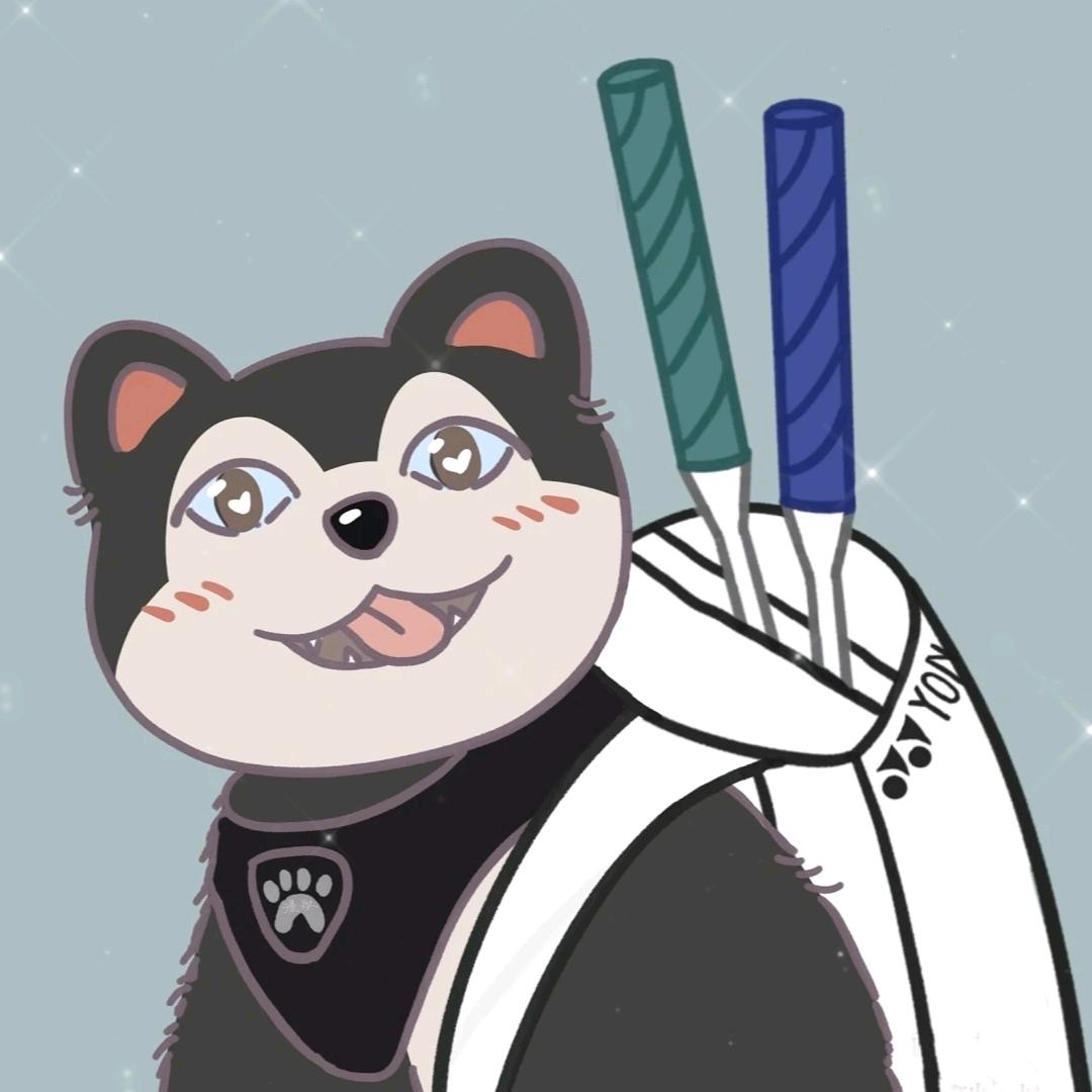 小辉羽毛球