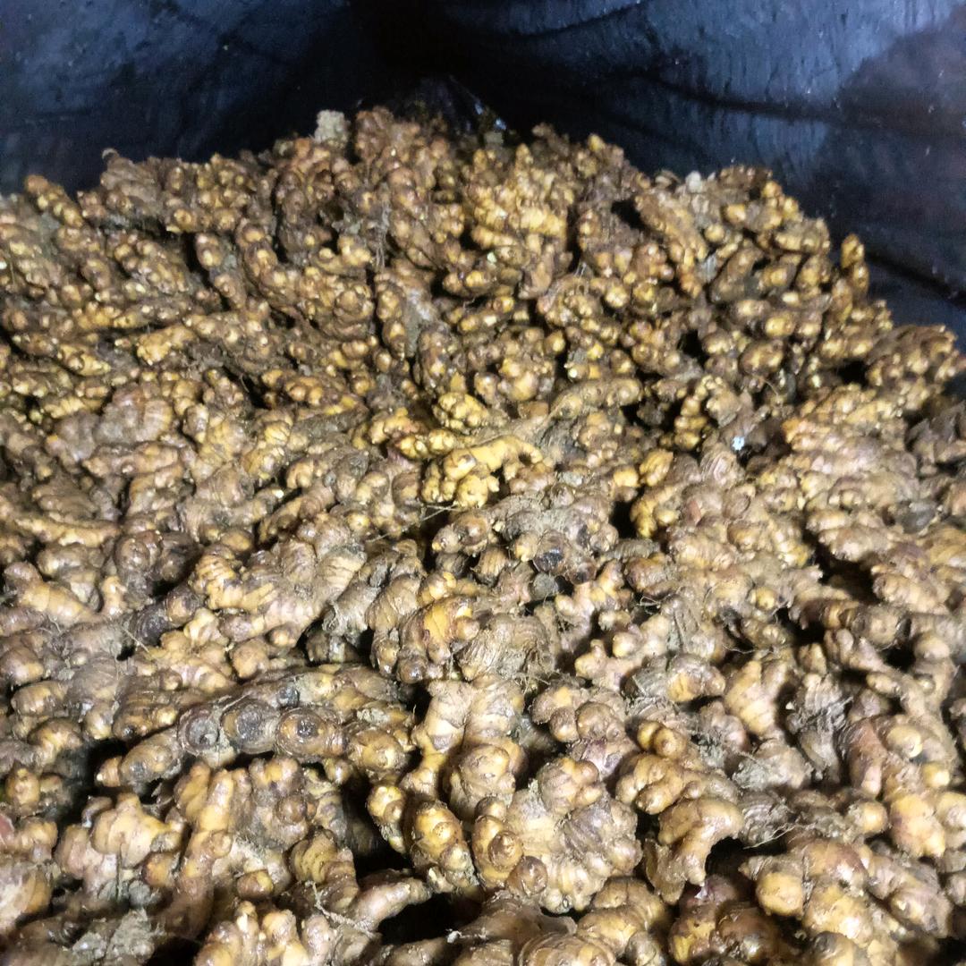 改变自己，重新开始