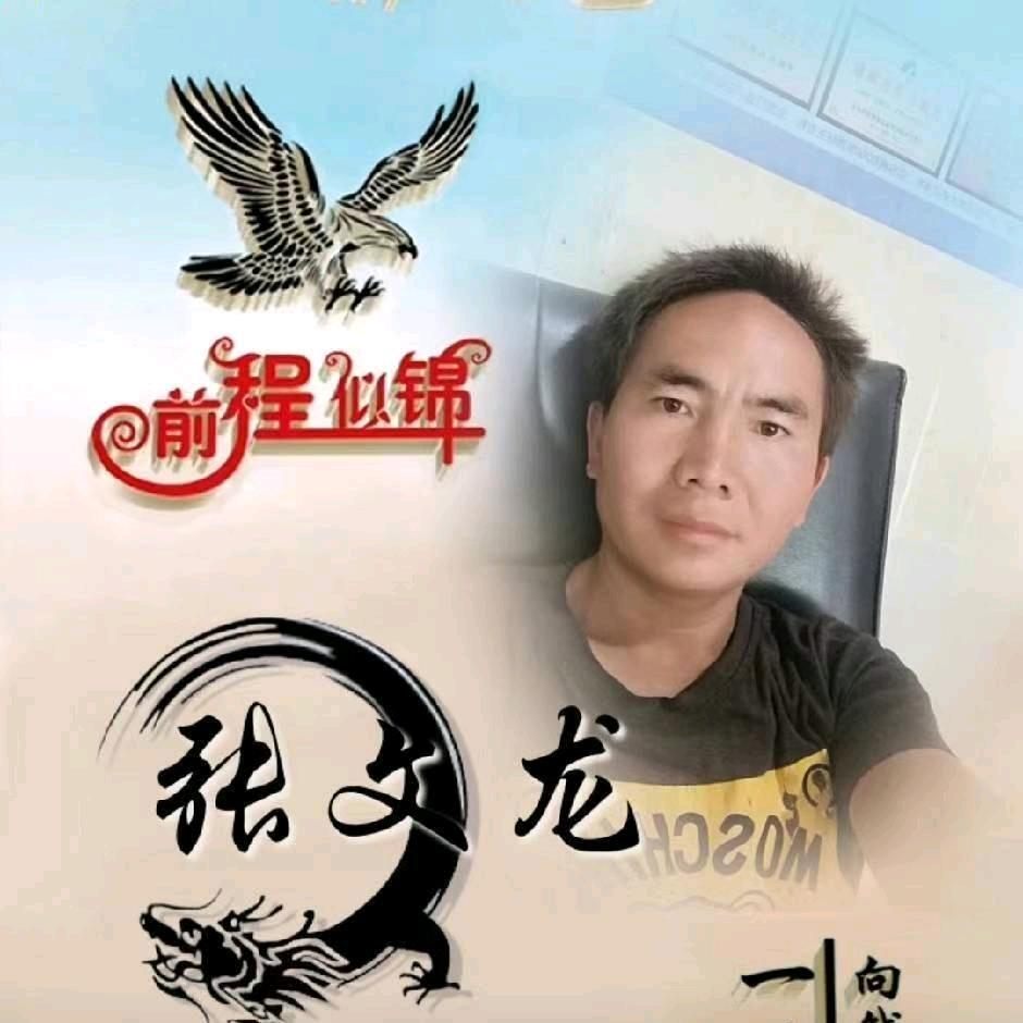 张文龙