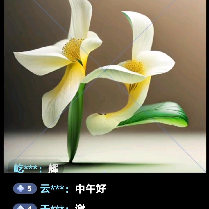 开心奶奶，杜家大姐