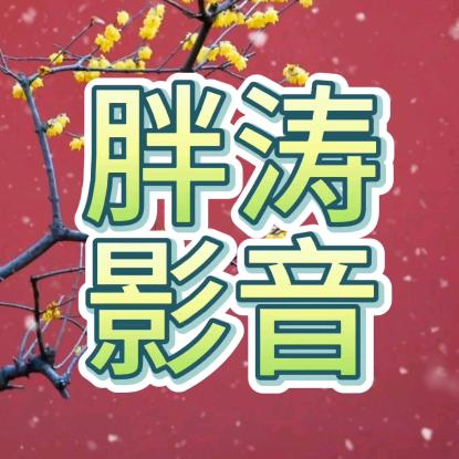 胖涛影音